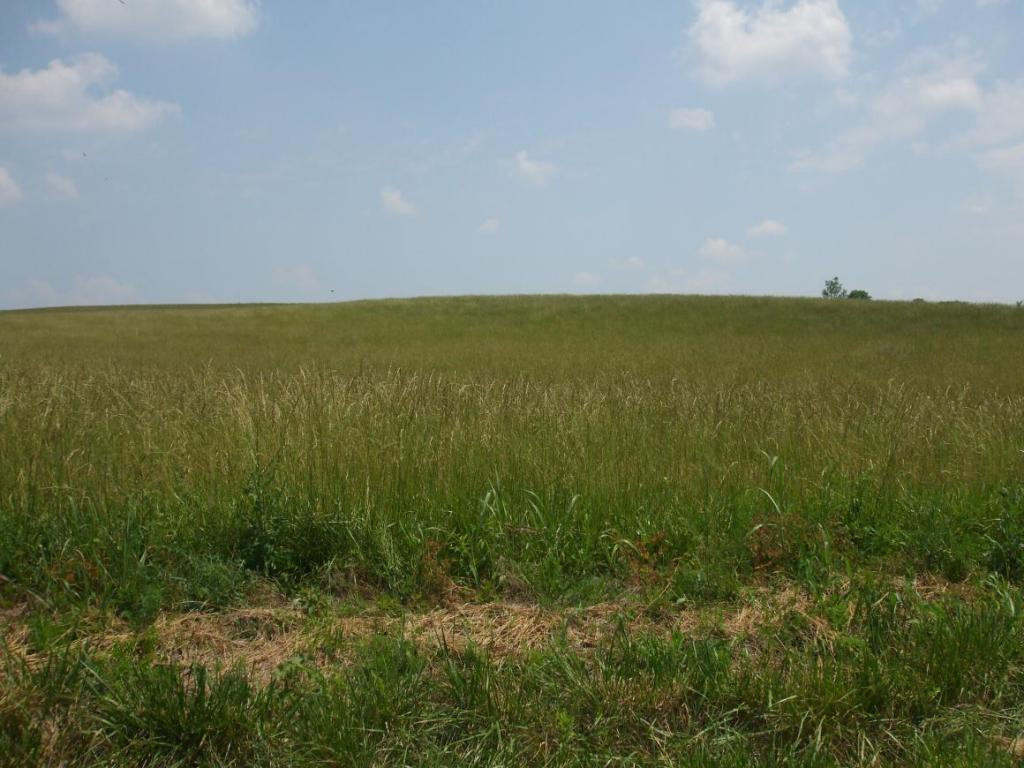 Tbd Old Snapps Ferry Road, Unit 19 Chuckey, TN 37641 - Photo 1 of 1 Photo 1