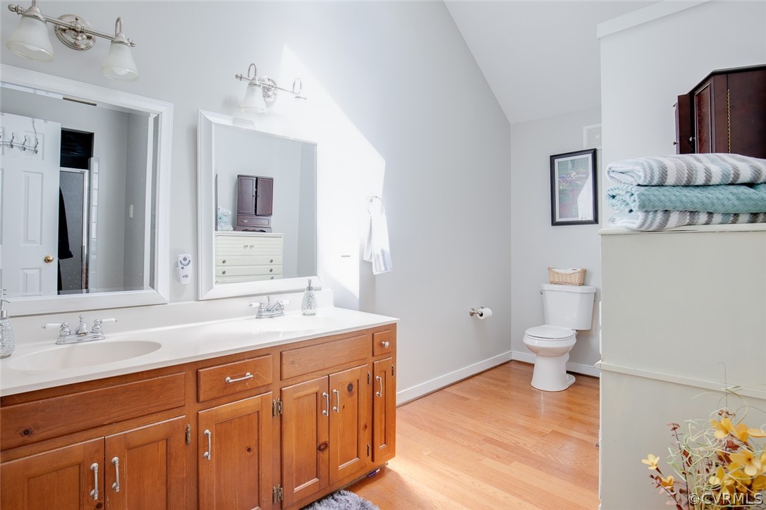 14307 Chimney House Road Midlothian, VA 23112 - Photo 37 of 50 Double vanity, skylight, walk-in shower