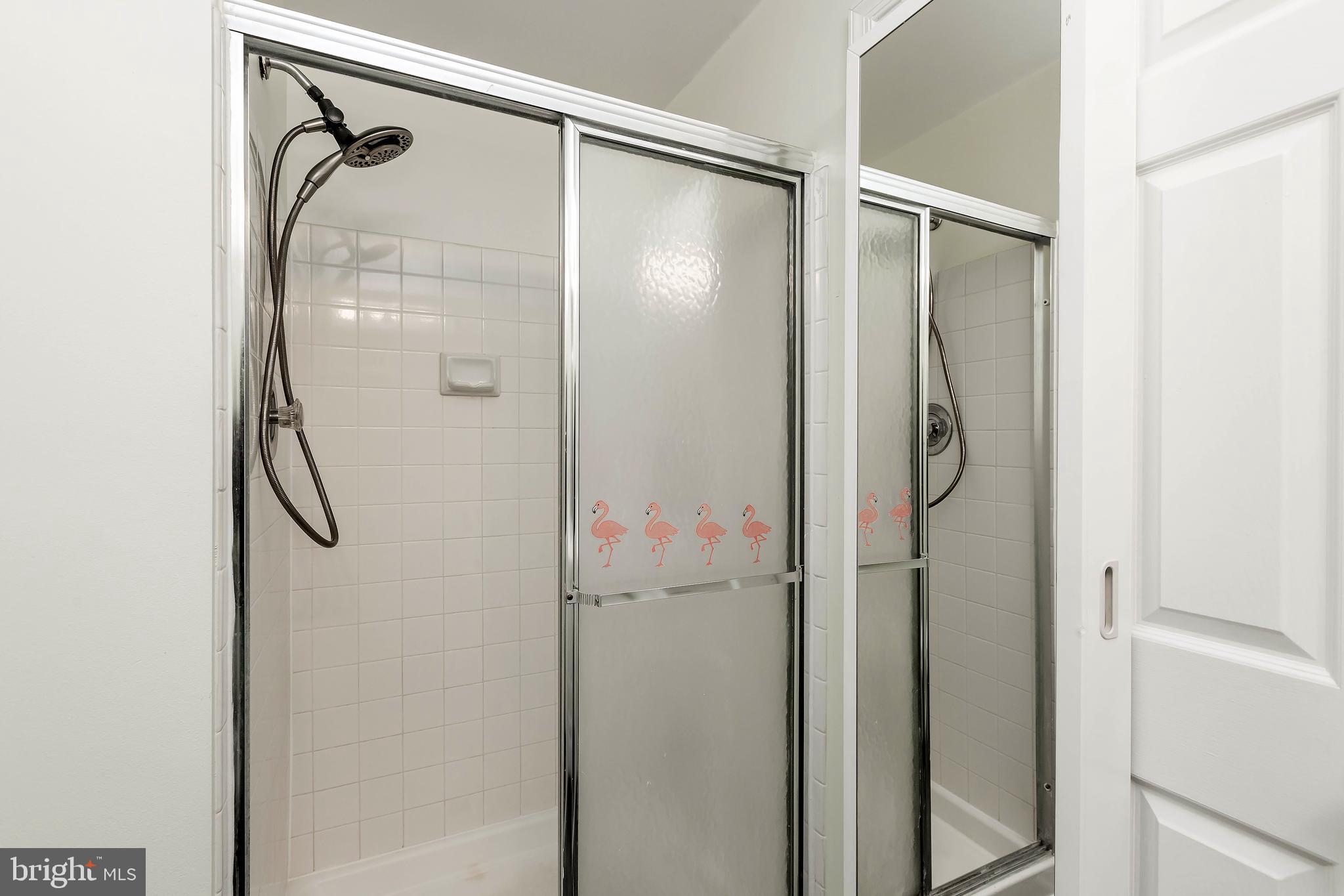 15128 Callohan Court Silver Spring, MD 20906 - Photo 21 of 37 Master Bath