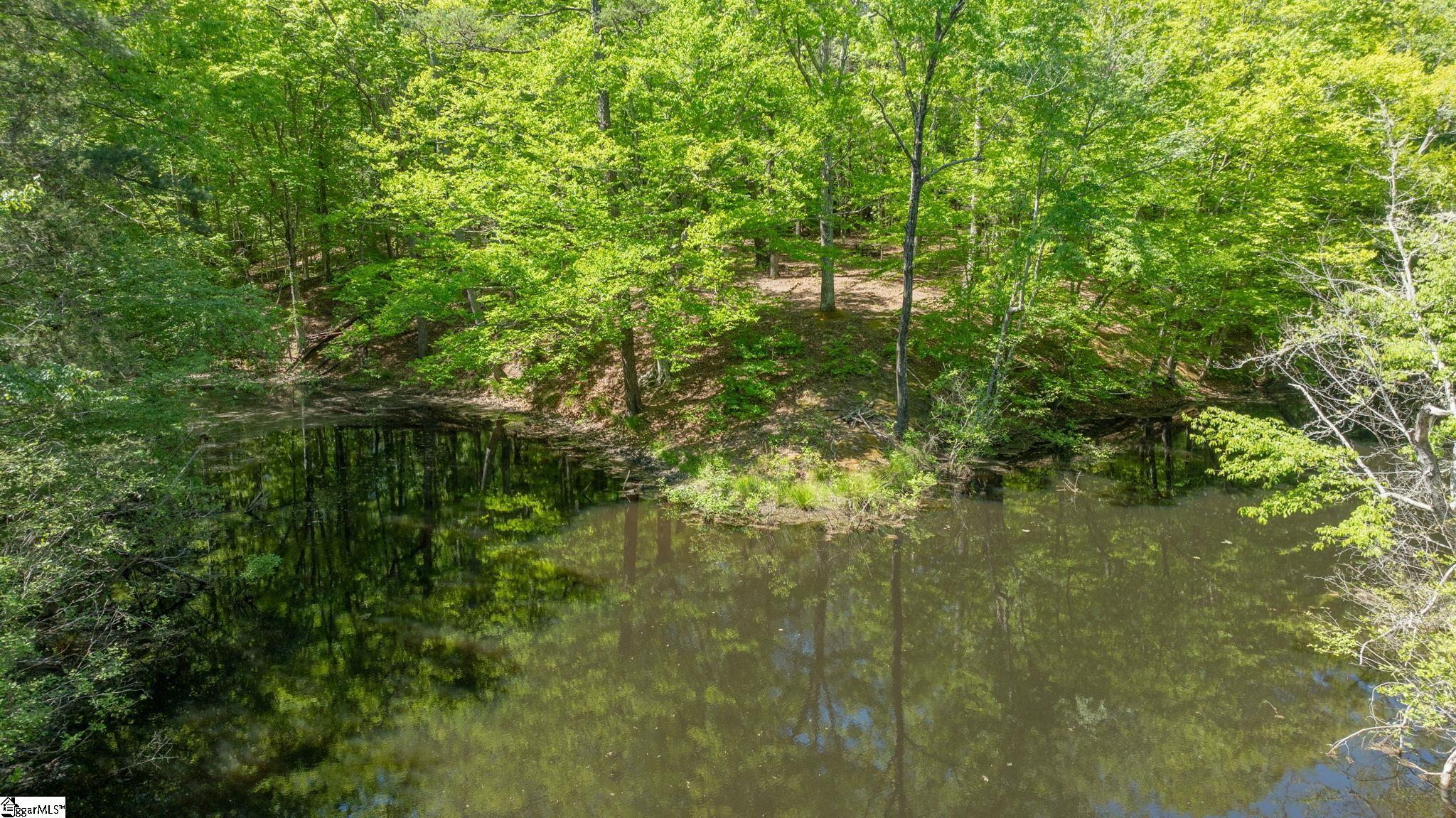 767 Gowdeysville Road Gaffney, SC 29340 - Photo 20 of 20