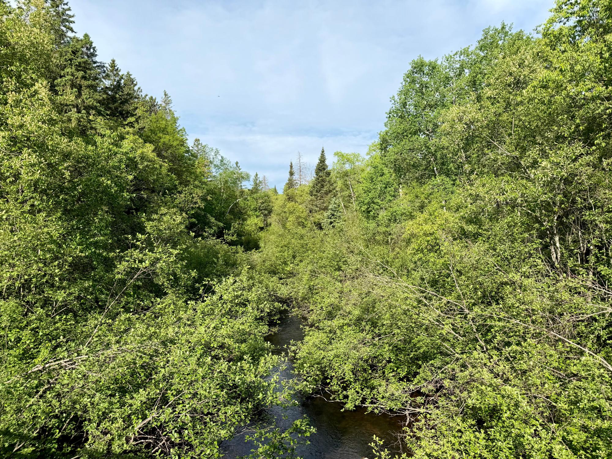 W14905 Parrish Road Gleason, WI 54435 - Photo 41 of 49