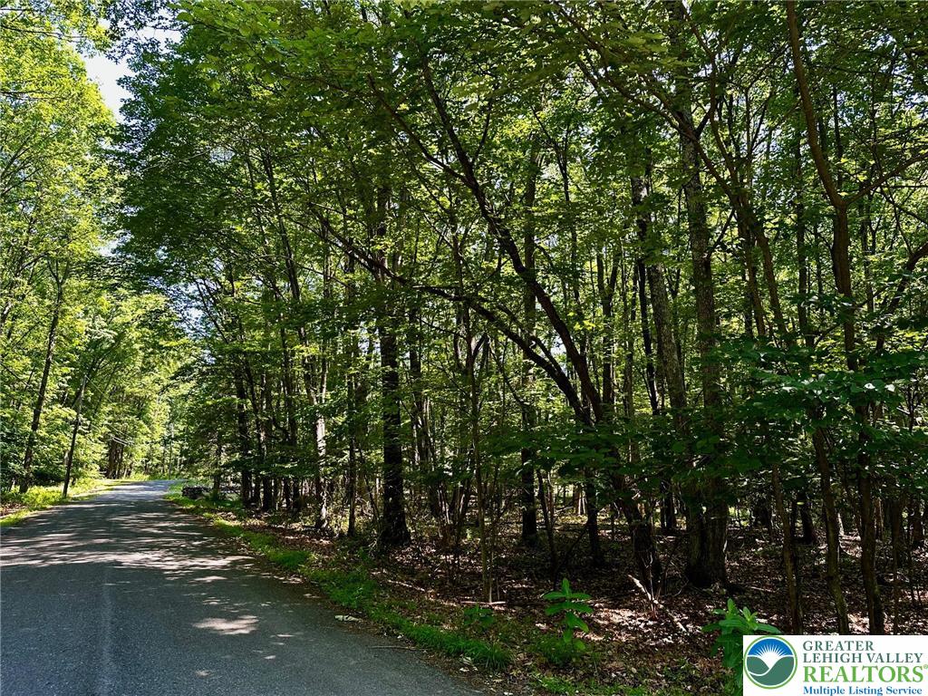 1.29-acre level corner lot