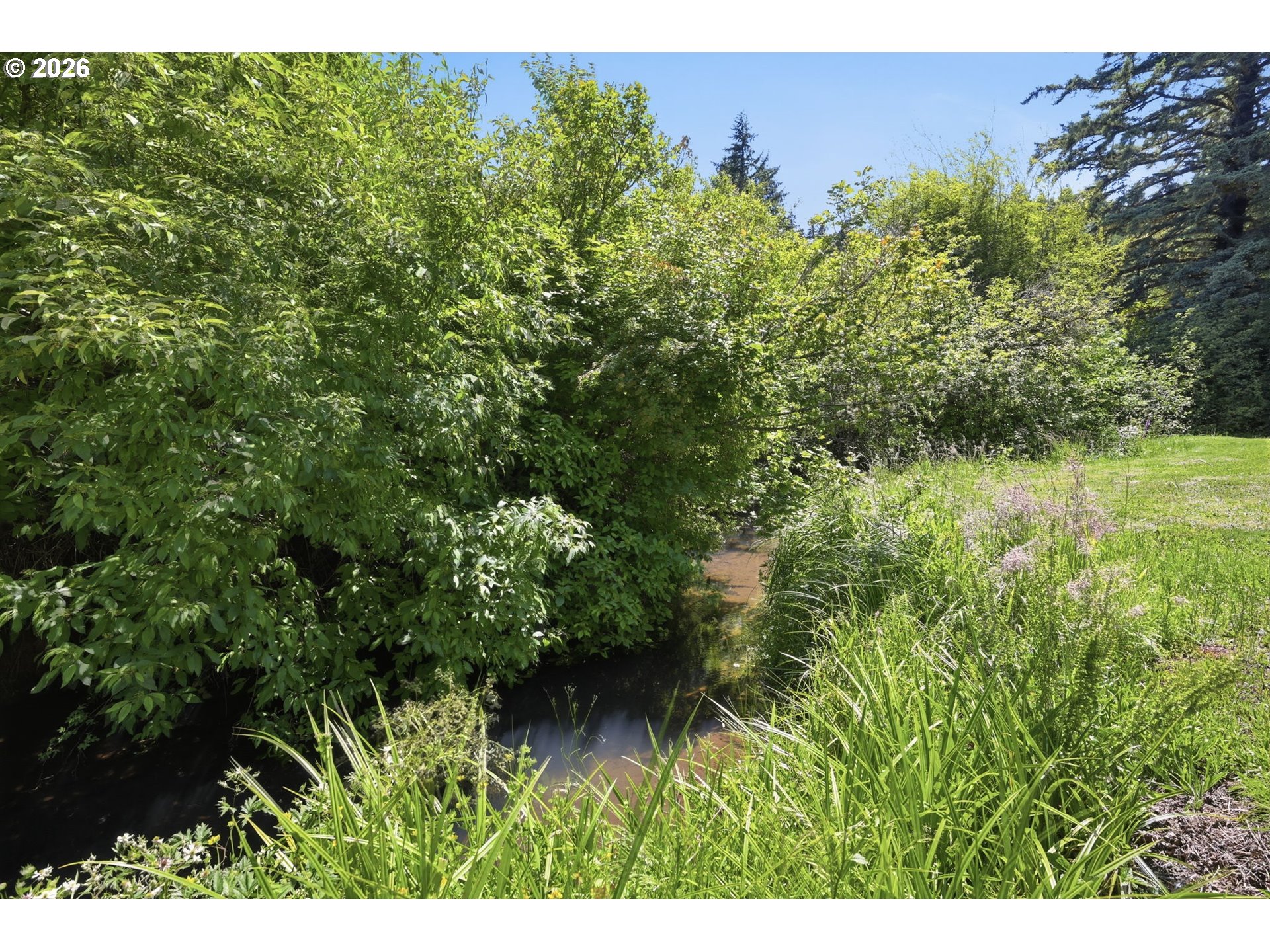 94603 Johnson Road Marcola, OR 97454 - Photo 42 of 48