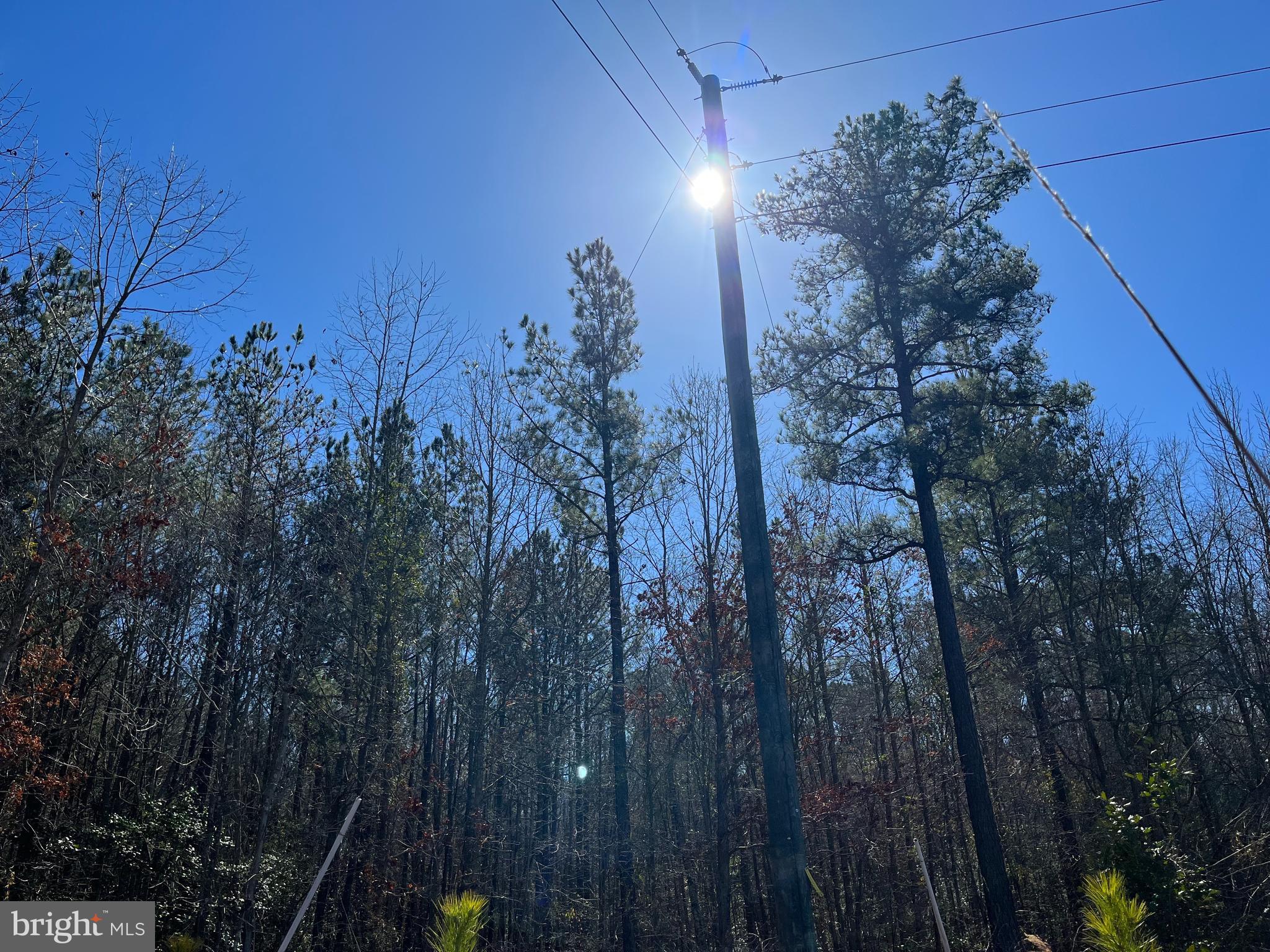 Fox Branch Road Carson, VA 23830 - Photo 18 of 23