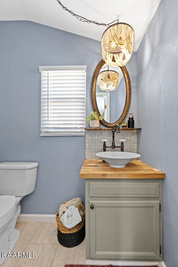 171 Garden Road Norris, TN 37828 - Photo 12 of 33 a bathroom with a toilet a sink and a mirror