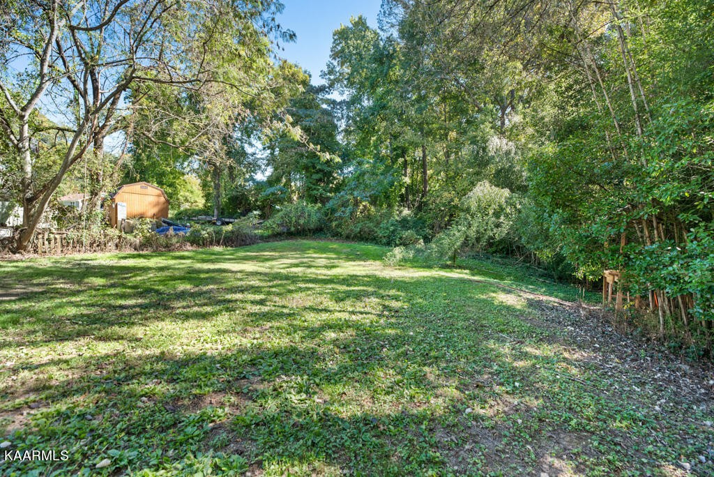 171 Garden Road Norris, TN 37828 - Photo 21 of 33 a view of a field with a tree