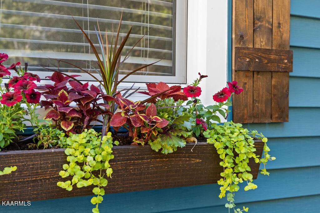 171 Garden Road Norris, TN 37828 - Photo 33 of 33 a vase of flowers sitting on a table