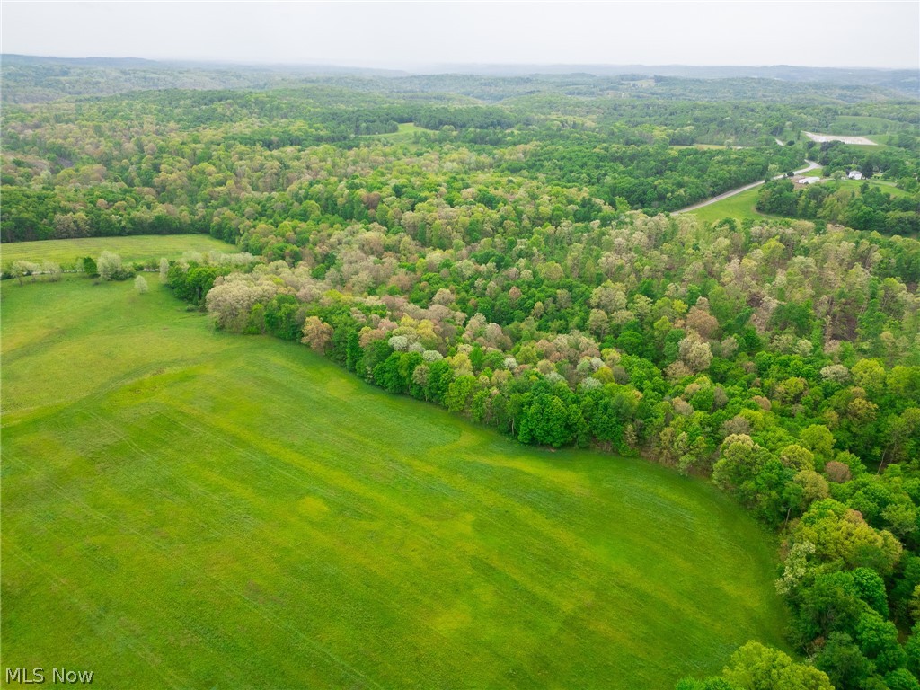 Emerick Road Summitville, OH 43962 - Photo 22 of 47