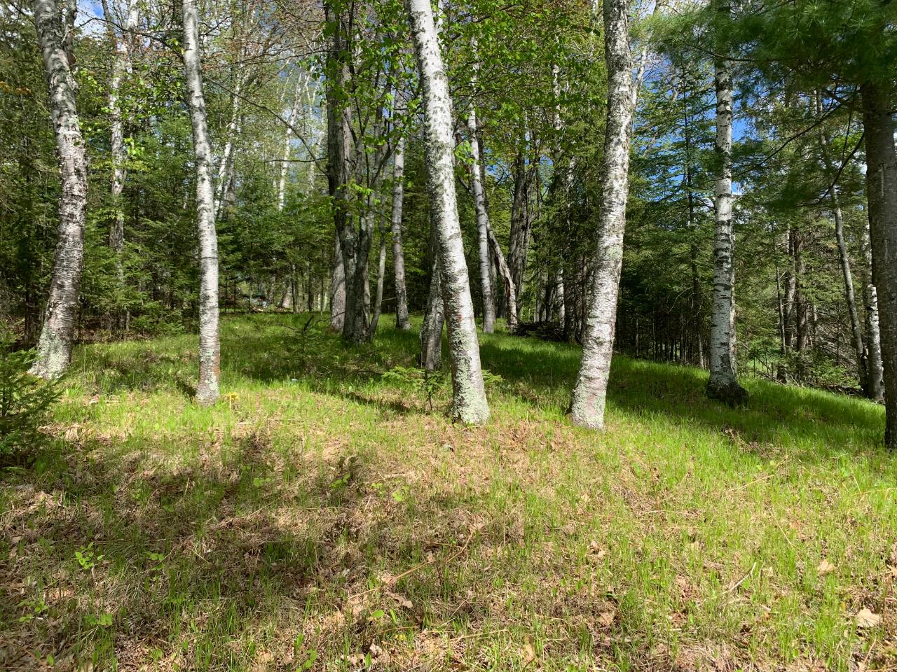 On On Dombrowski Road Harshaw, WI 54529 - Photo 19 of 20 Gallery Image 19