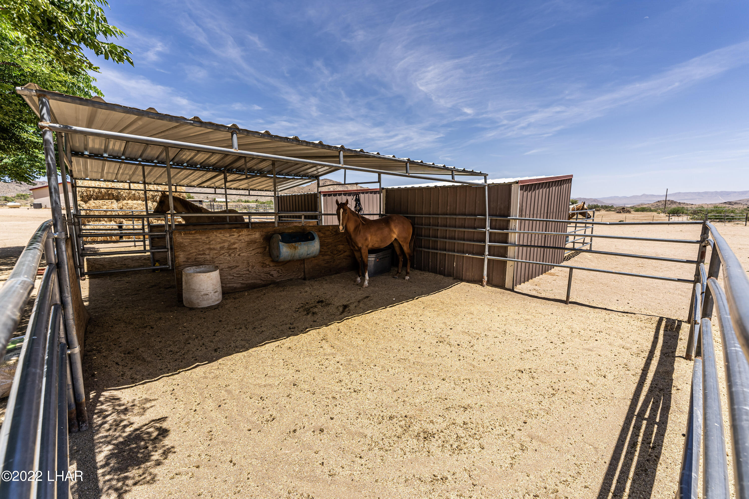 8187 Red Wing Canyon Road Kingman, AZ 86409 - Photo 46 of 61 Horse Facilities