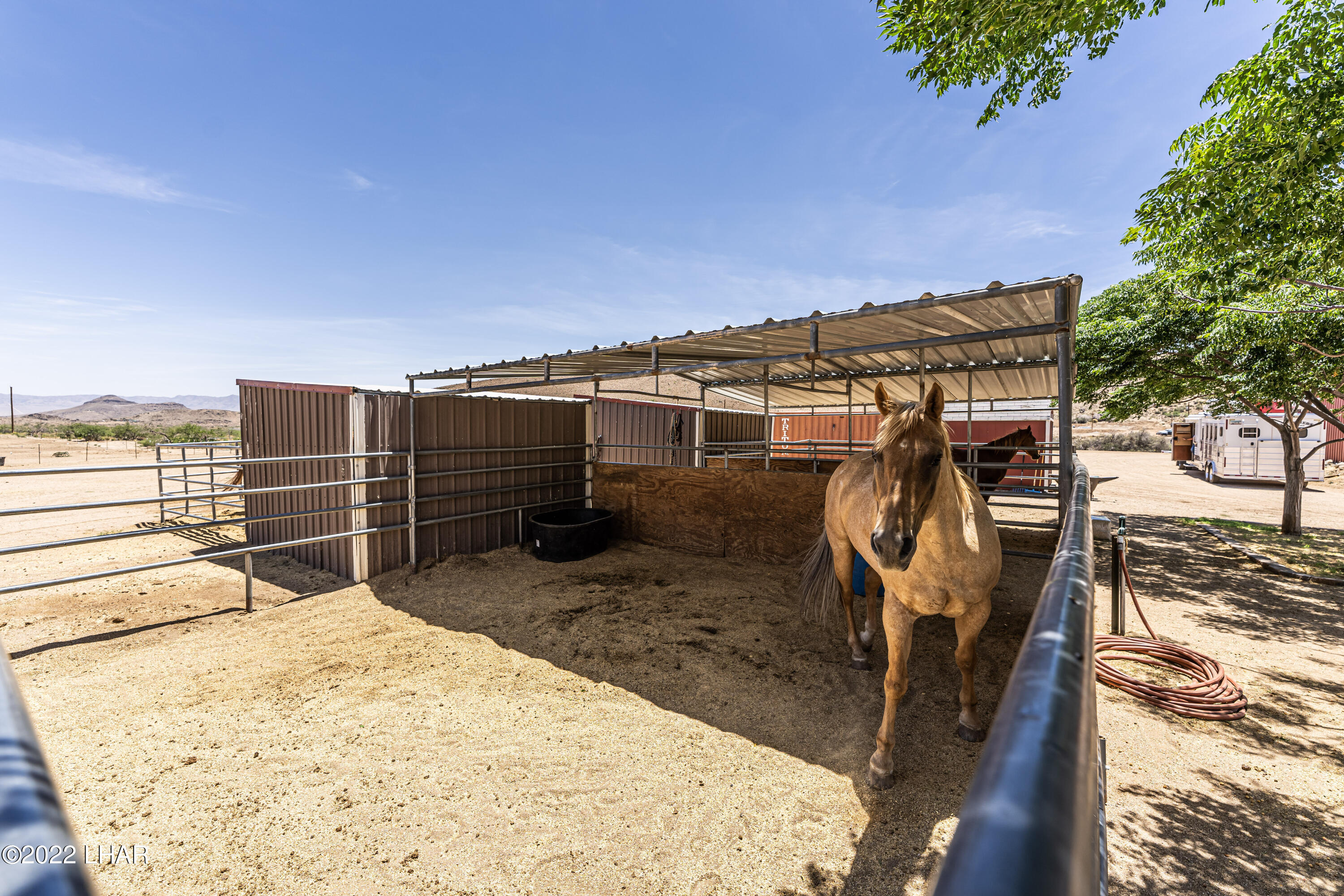8187 Red Wing Canyon Road Kingman, AZ 86409 - Photo 47 of 61 Horse Facilities