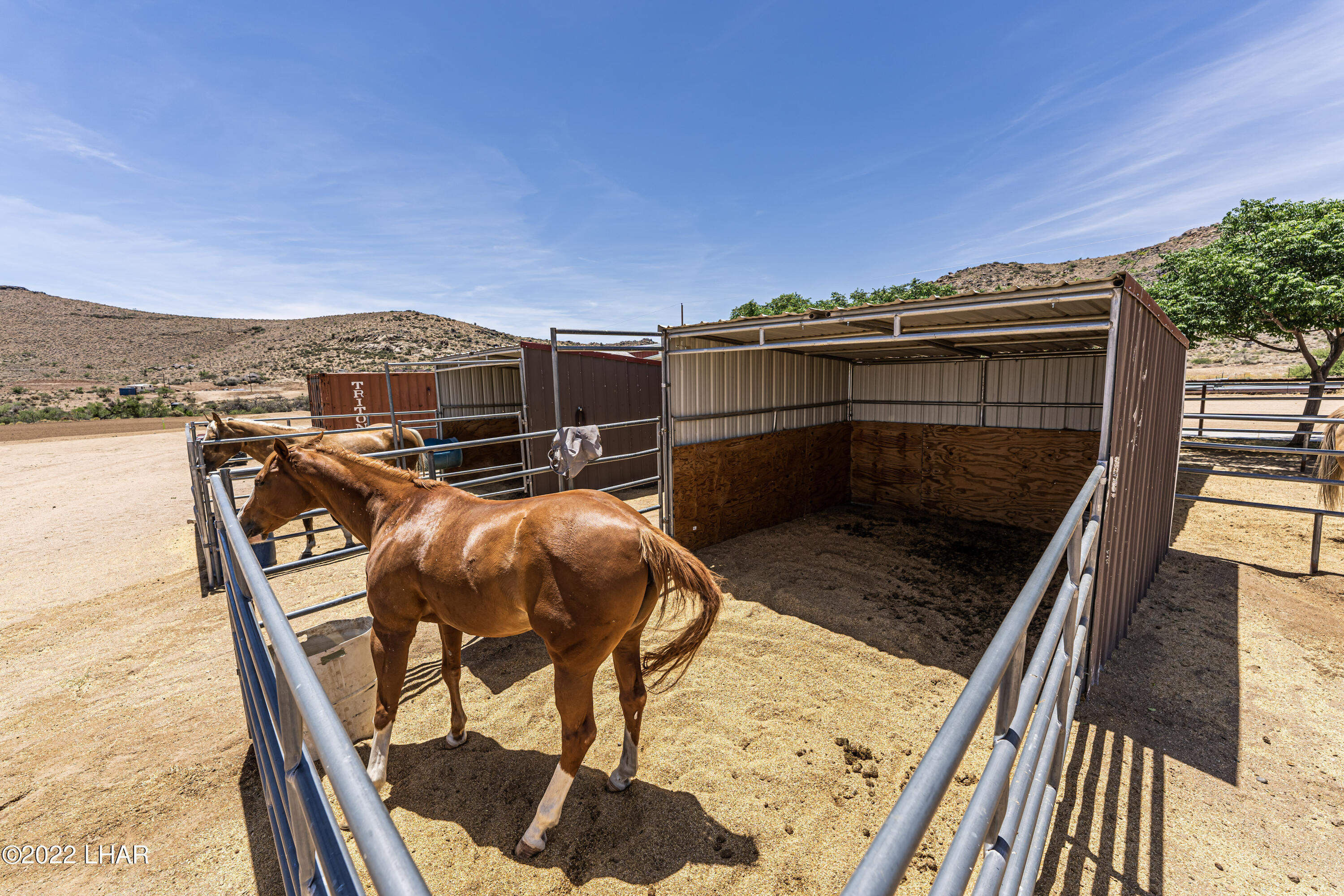 8187 Red Wing Canyon Road Kingman, AZ 86409 - Photo 48 of 61 Horse Facilities