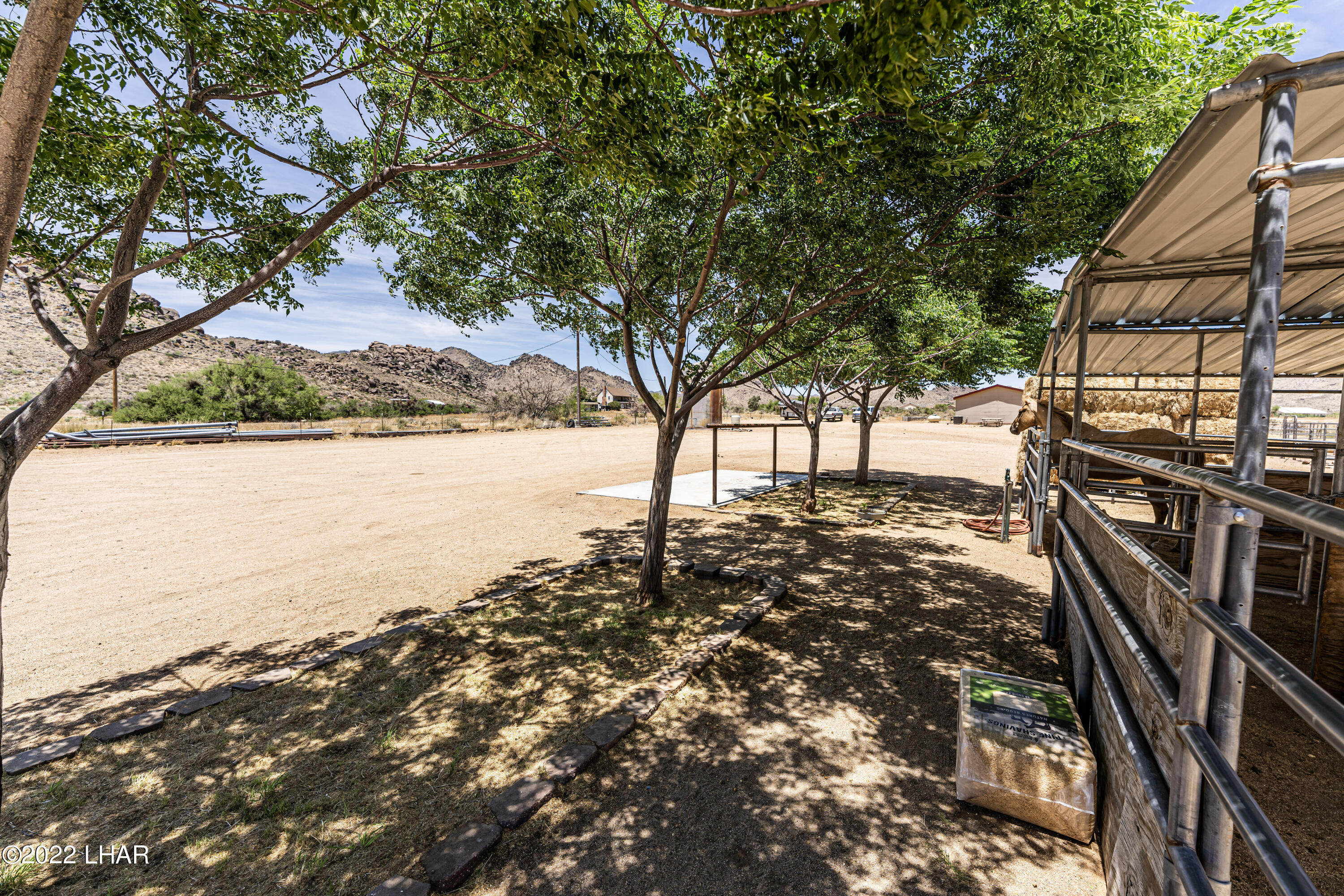 8187 Red Wing Canyon Road Kingman, AZ 86409 - Photo 49 of 61 Mature Shade Trees