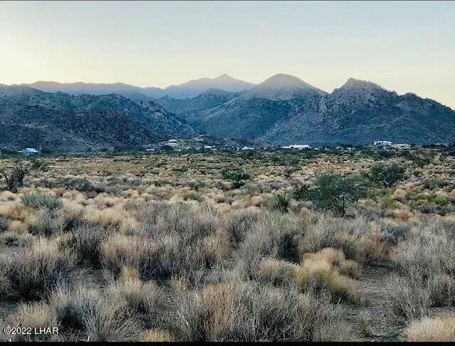 8187 Red Wing Canyon Road Kingman, AZ 86409 - Photo 60 of 61 Canyon Views!