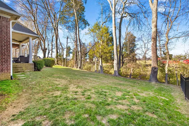 a view of a yard with plants and trees