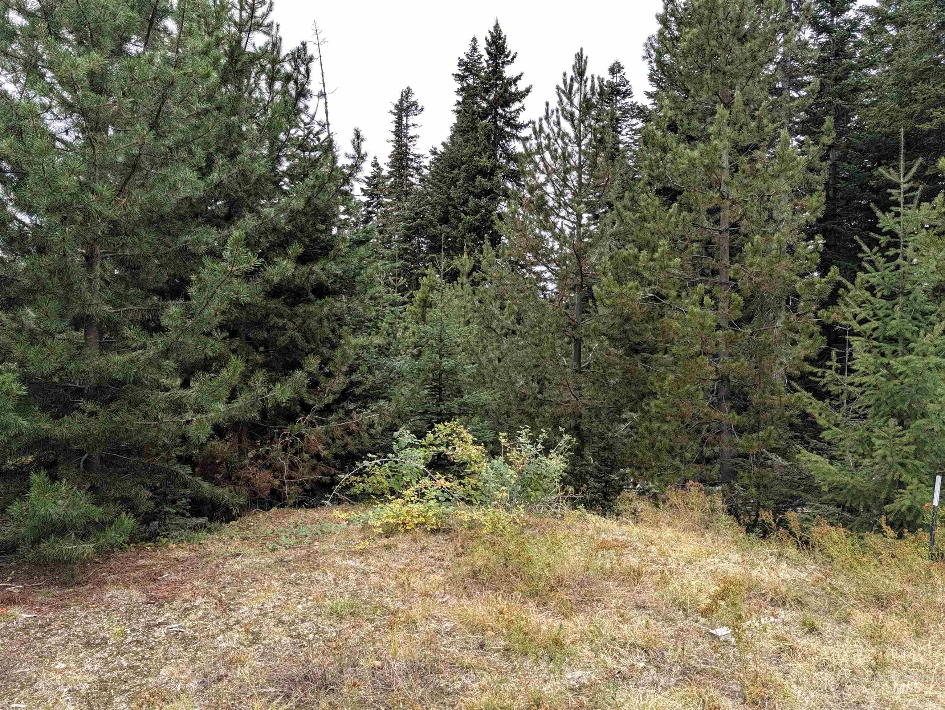 524 Rhett Creek Road Elk City, ID 83525 - Photo 16 of 23 Additional content