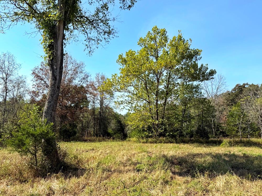 Tbd Southwest Tbd Sw 778th Road Osceola, MO 64776 - Photo 23 of 41 Gallery Image 23