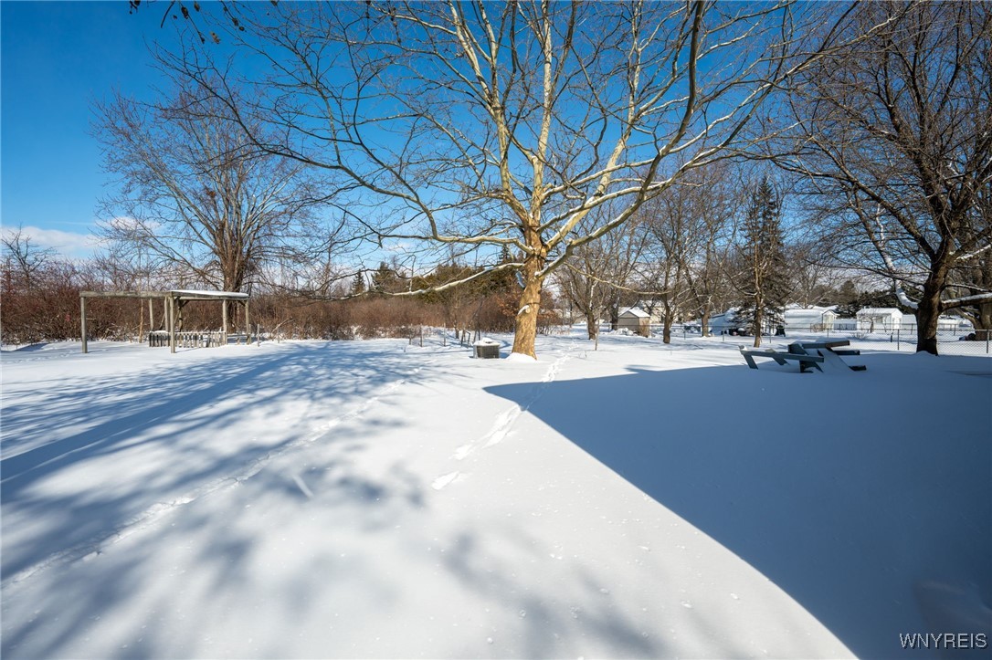 2367 Long Road Grand Island, NY 14072 - Photo 30 of 35 Rear private yard