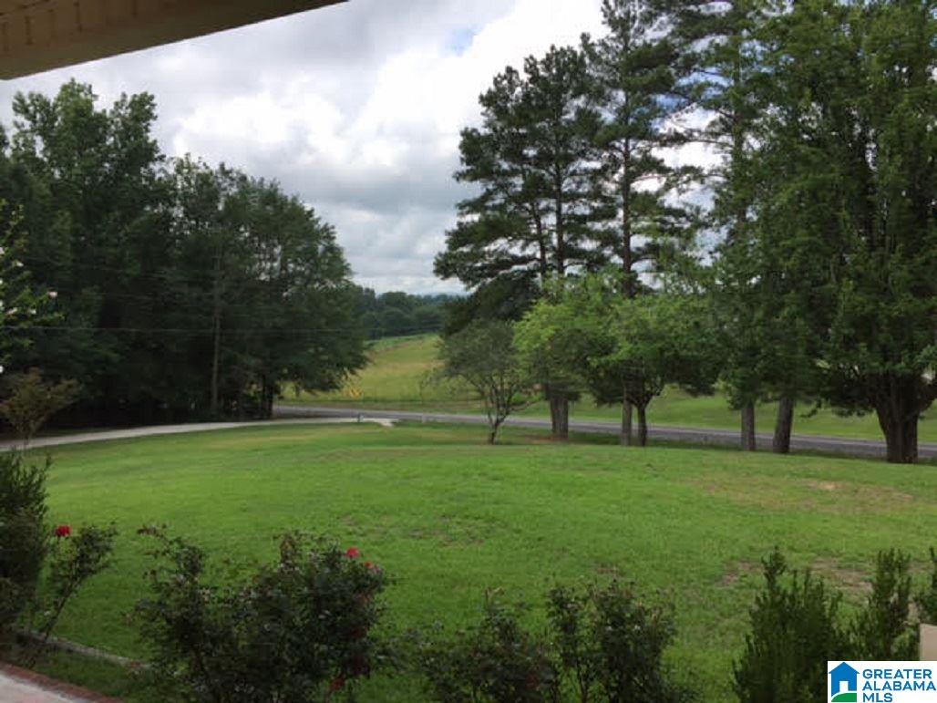 6577 County Road 703 Cullman, AL 35055 - Photo 19 of 20
