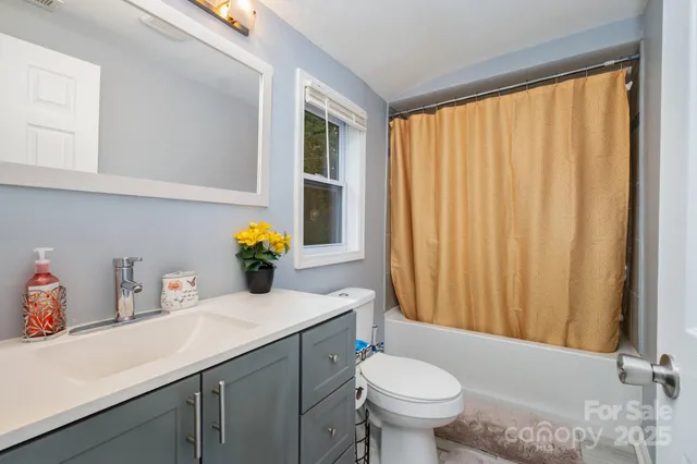 a bathroom with a sink a toilet and shower curtain