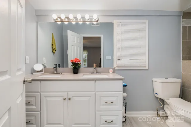 a bathroom with a sink and a toilet