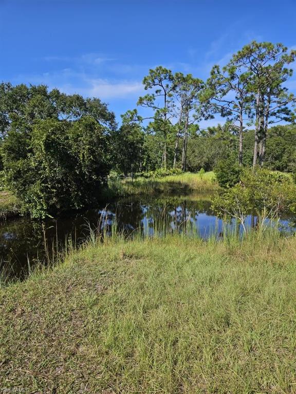 1375 Ash Road Northwest LaBelle, FL 33935 - Photo 12 of 26 Natural water feature surrounded by lush vegetation and mature trees under a clear blue sky