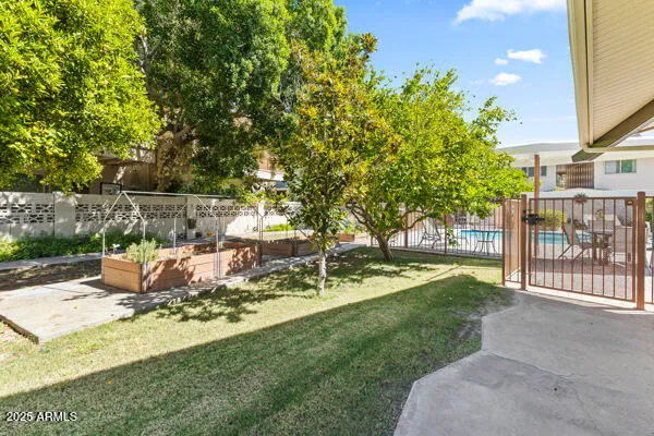 a view of a backyard