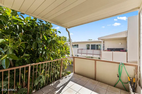 a view of a bunch of flowers