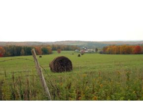 0 Raymond Decker Road Smithville, NY 13841 - Photo 2 of 9 Gallery Image 2