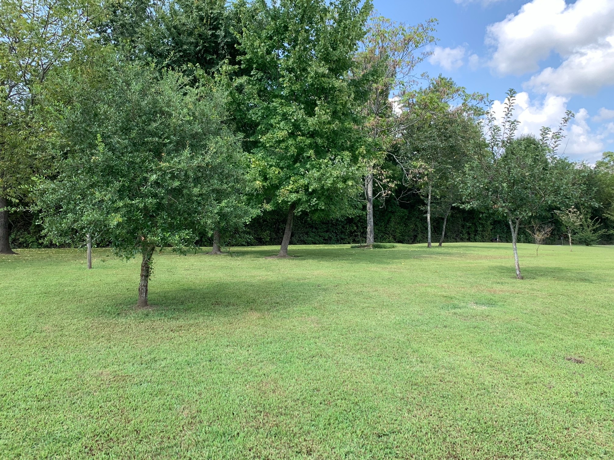 250 Petty Hollow Road Prospect, TN 38477 - Photo 20 of 33 Gallery Image 20