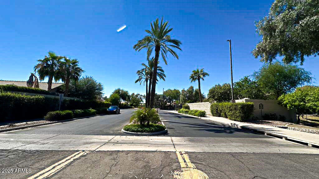 4953 South Moss Drive Chandler, AZ 85248 - Photo 47 of 50 a view of a terrace with palm trees