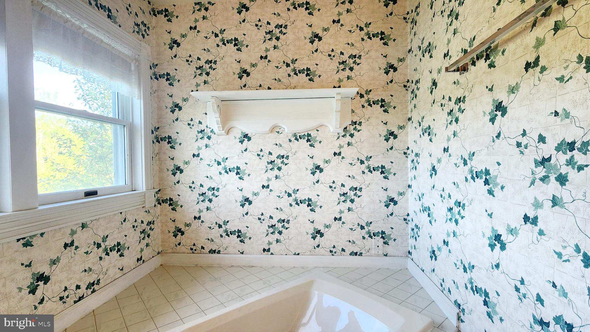 31 Ski Run Trail Fairfield, PA 17320 - Photo 58 of 79 Main bath corner jetted tub