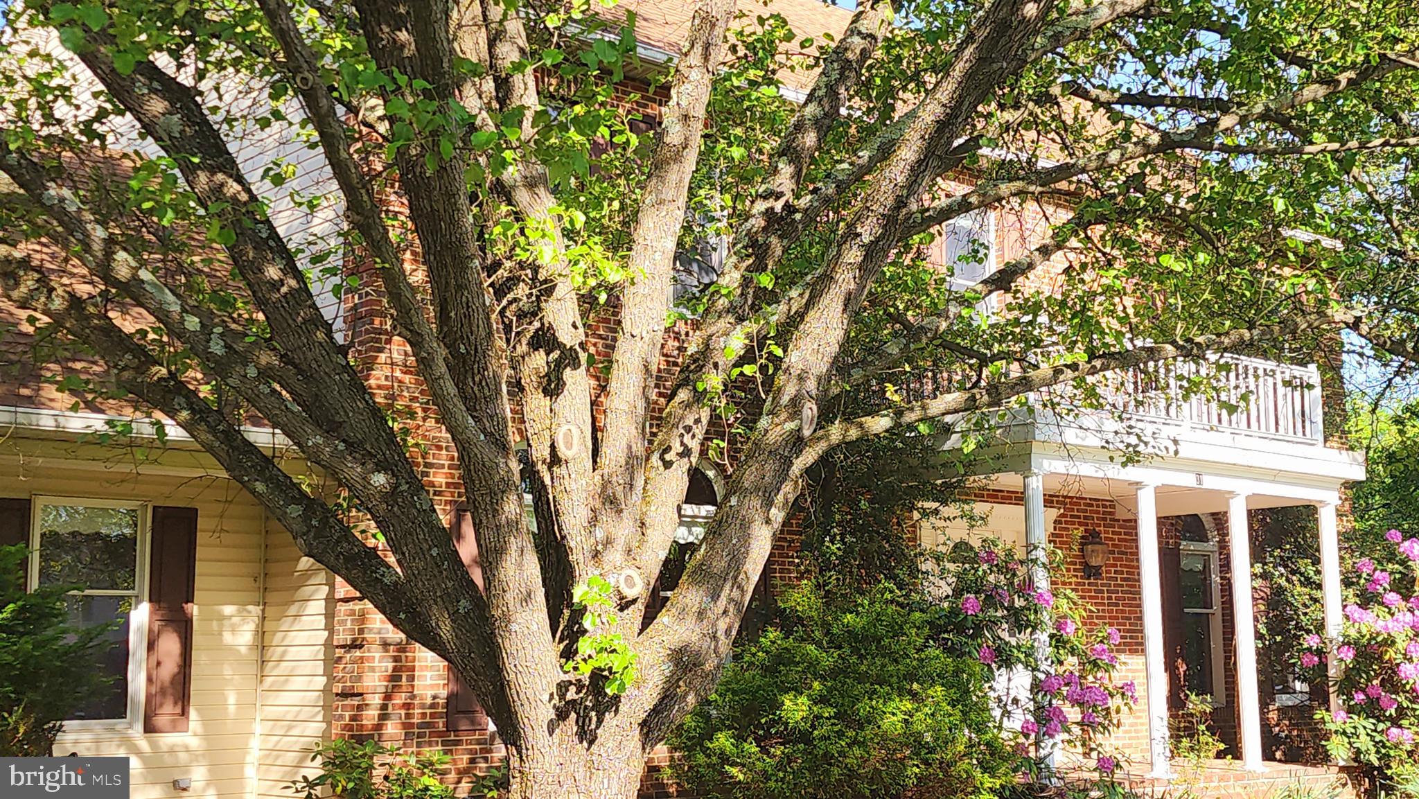 31 Ski Run Trail Fairfield, PA 17320 - Photo 8 of 79 Flowering pear front left