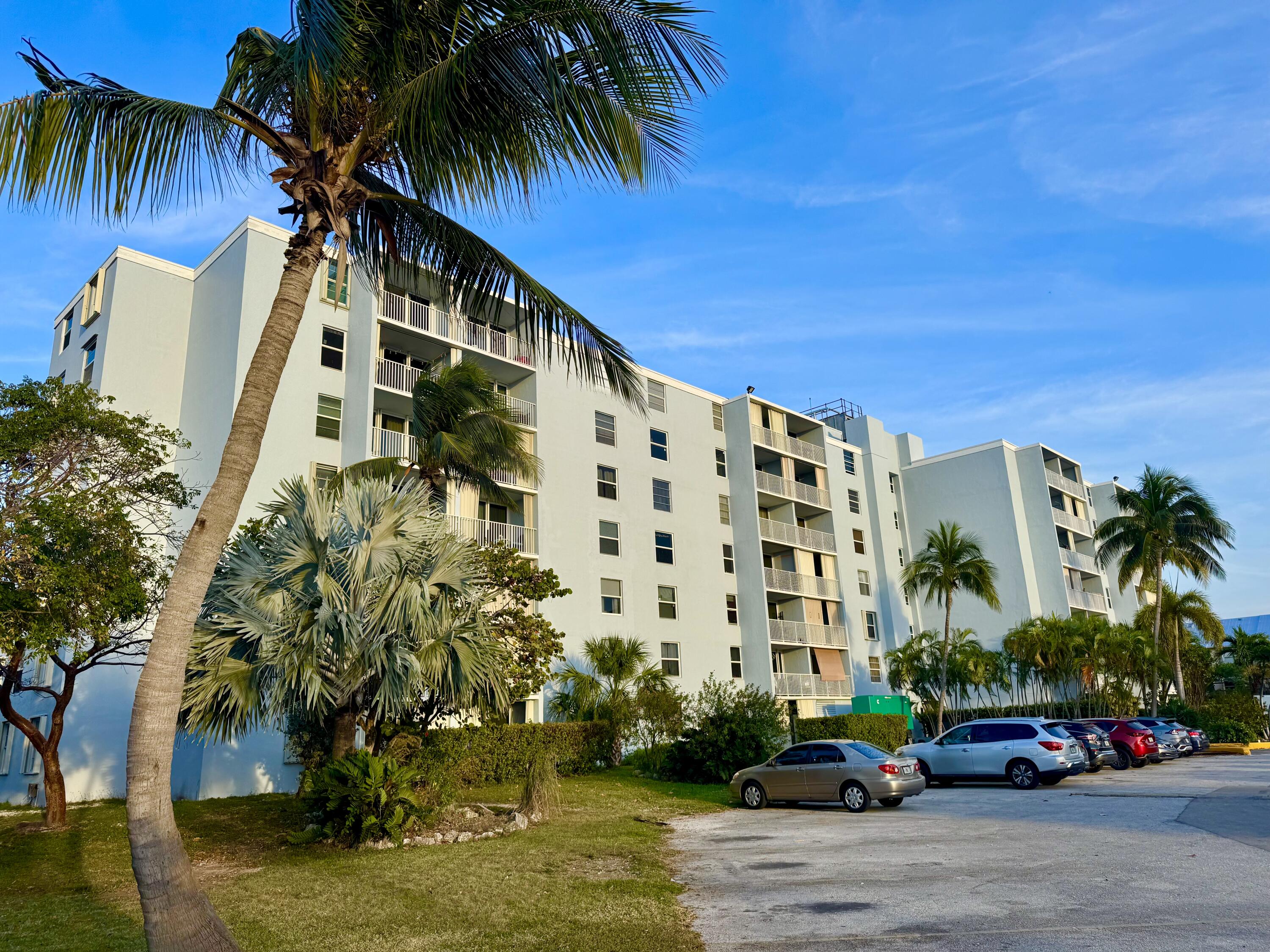 3312 Northside Drive, Unit 405 Key West, FL 33040 - Photo 18 of 25 a palm tree sitting in front of a building