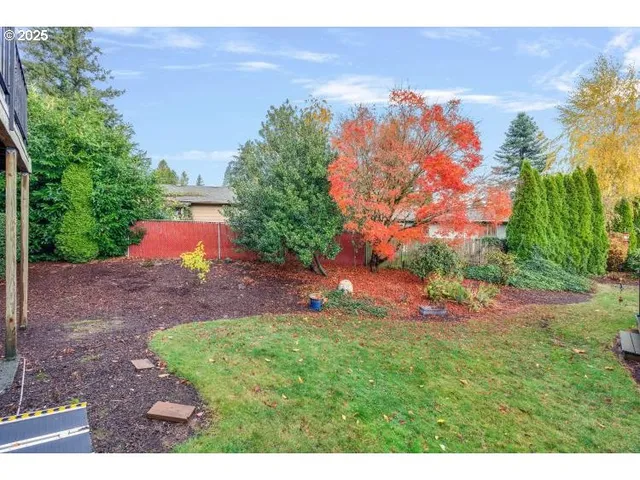 a view of a backyard