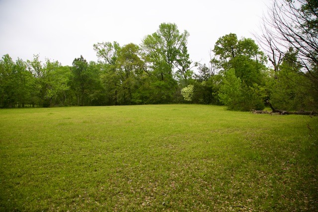 185 Hearne Road Corrigan, TX 75939 - Photo 2 of 8
