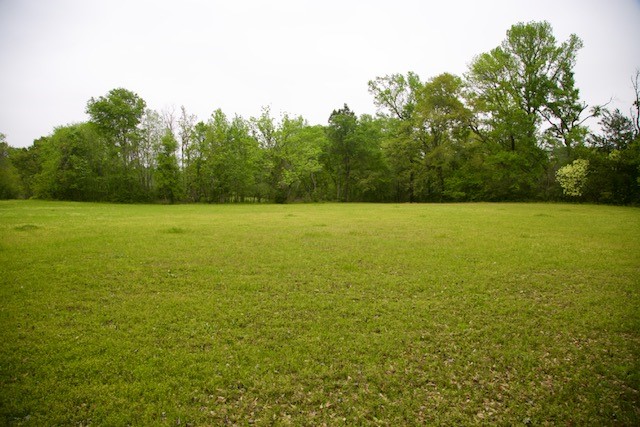 185 Hearne Road Corrigan, TX 75939 - Photo 3 of 8