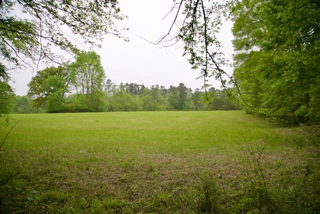 185 Hearne Road Corrigan, TX 75939 - Photo 4 of 8