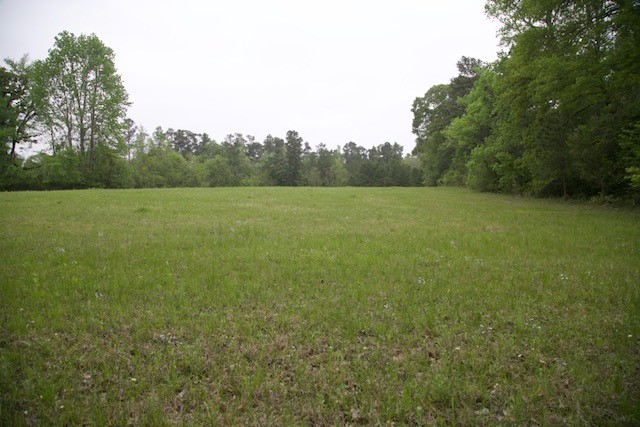 185 Hearne Road Corrigan, TX 75939 - Photo 5 of 8