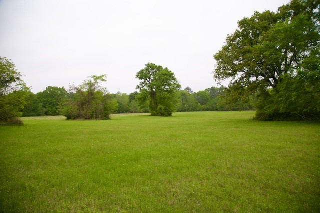 185 Hearne Road Corrigan, TX 75939 - Photo 6 of 8