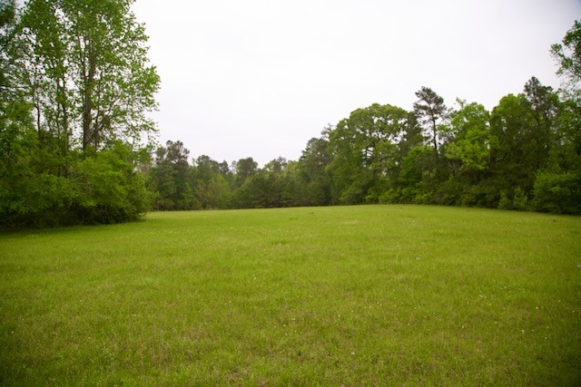 185 Hearne Road Corrigan, TX 75939 - Photo 7 of 8