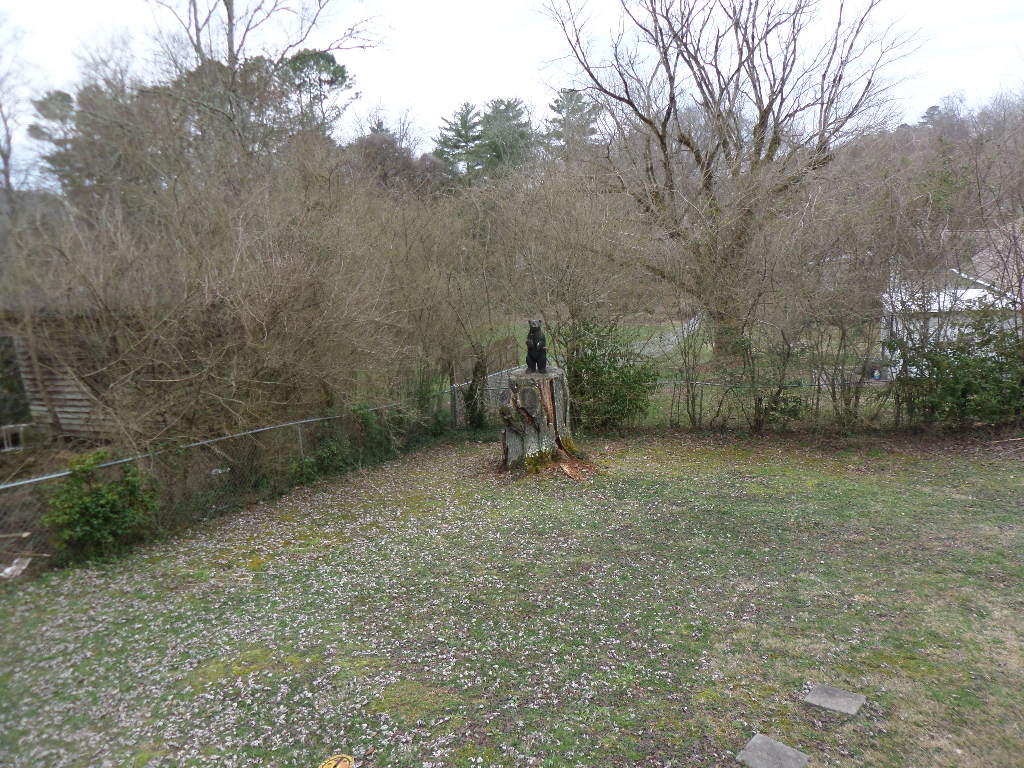 127 Salem Road Oak Ridge, TN 37830 - Photo 24 of 24 Back Yard (7)