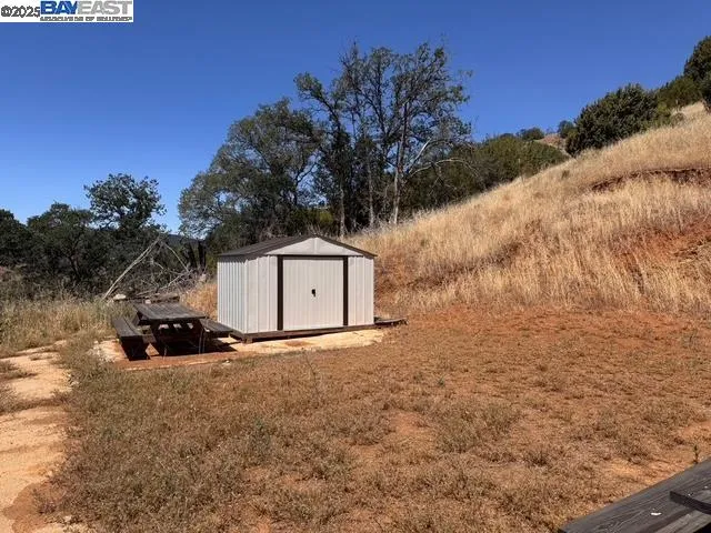 a picture of a tree in front of a house