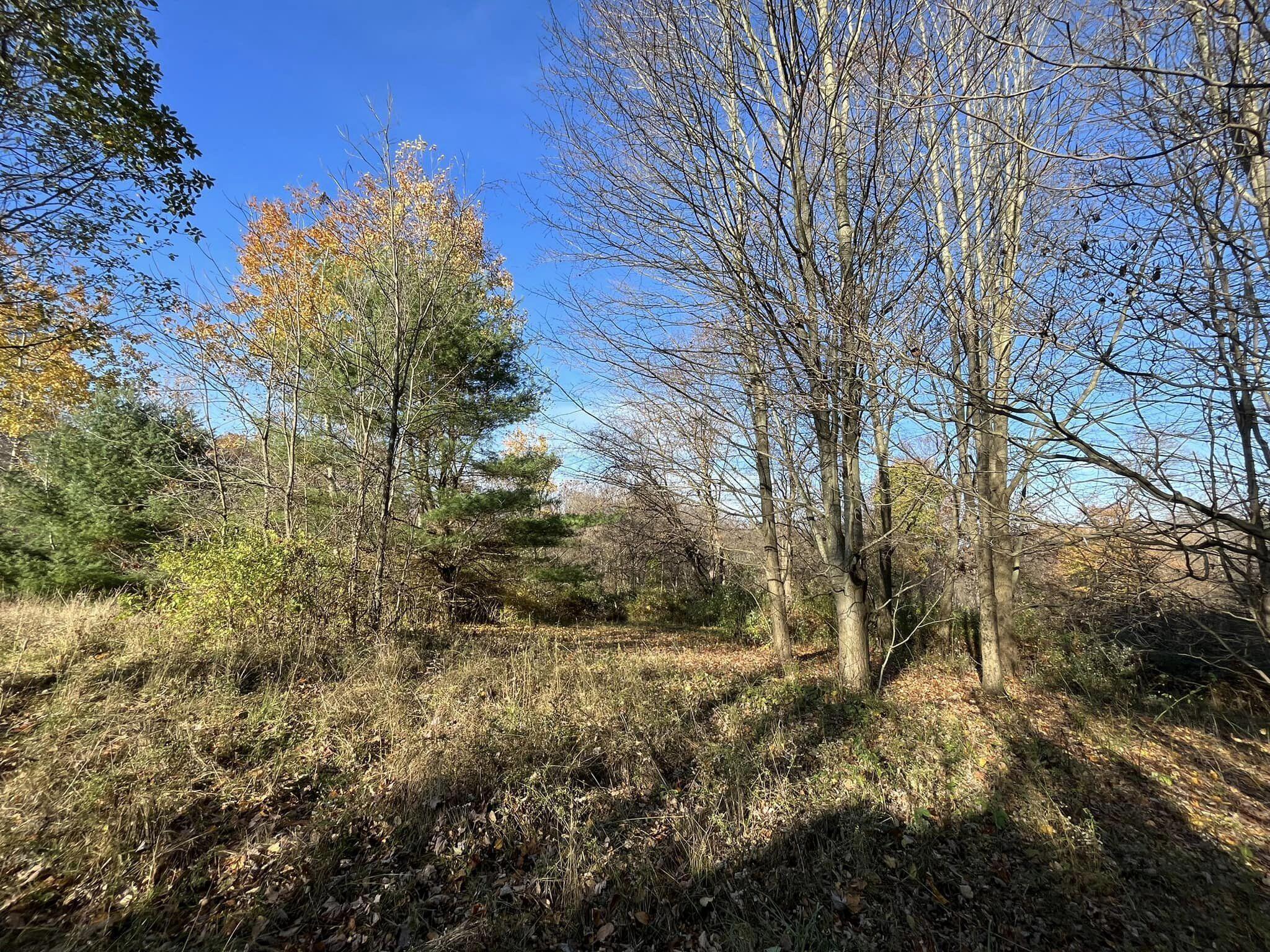 18599 Scott Road Mount Vernon, OH 43050 - Photo 2 of 47 2 (2)