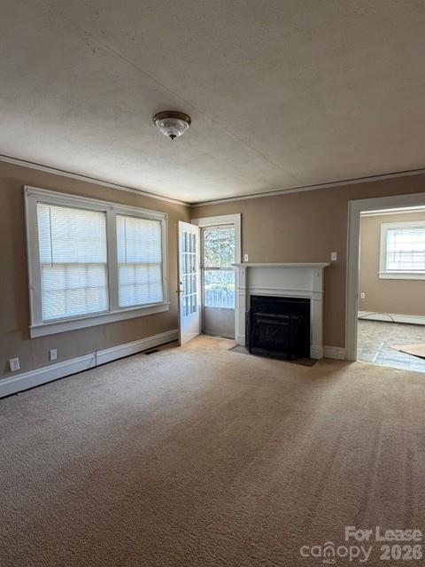 1015 20th Street Northeast Hickory, NC 28601 - Photo 2 of 13 an empty room with windows and fireplace