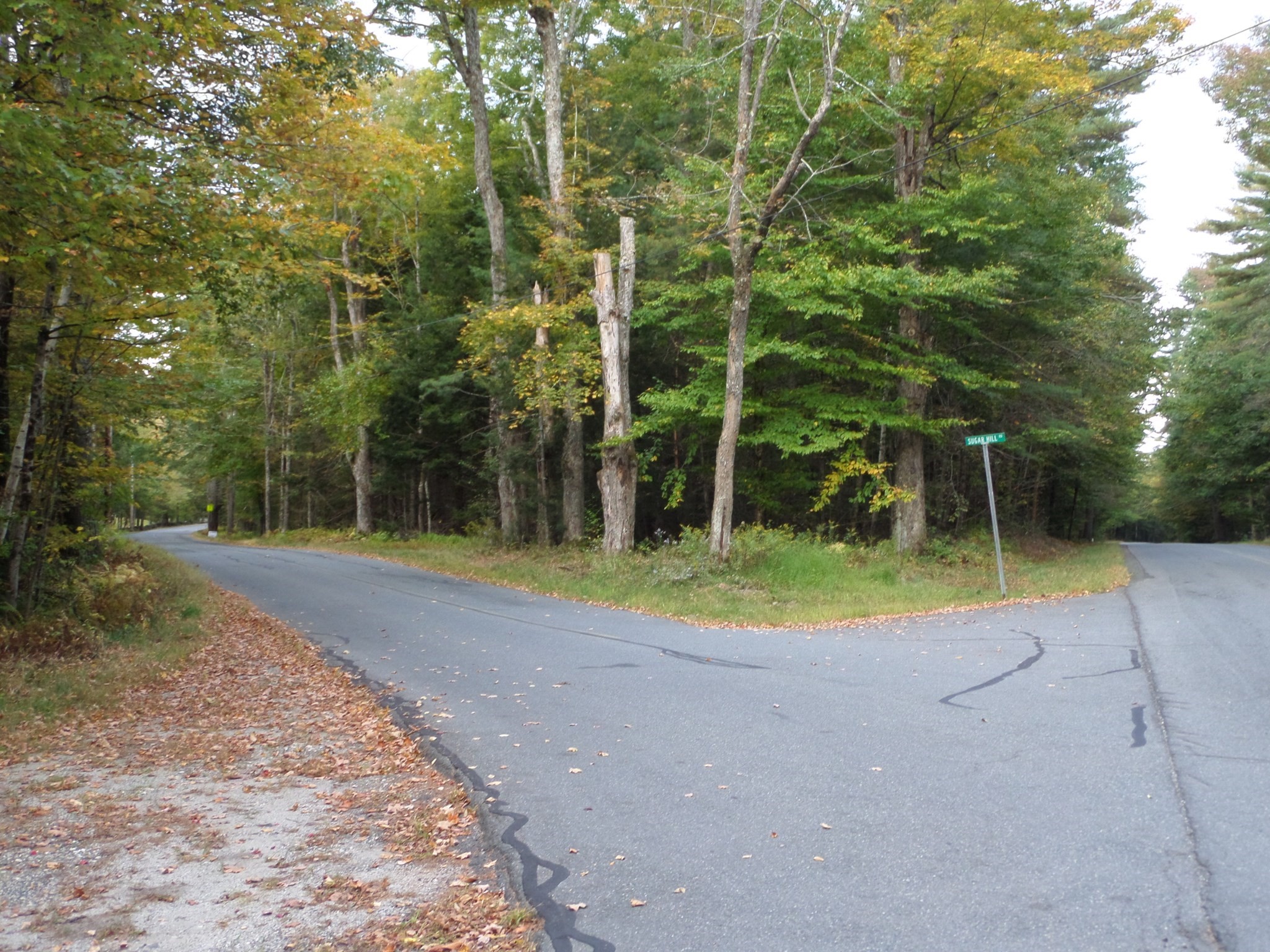 B Damon Pond Road Chesterfield, MA 01012 - Photo 3 of 8 Gallery Image 3