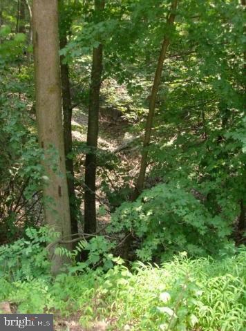 Low Line Road Great Cacapon, WV 25422 - Photo 12 of 21