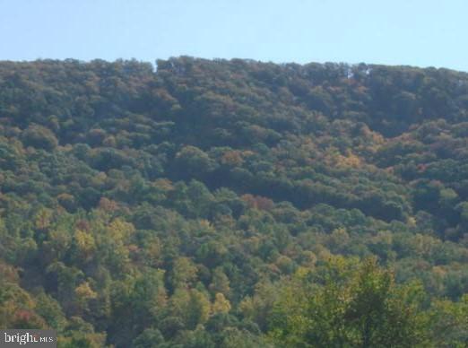 Low Line Road Great Cacapon, WV 25422 - Photo 17 of 21 Mountain Views
