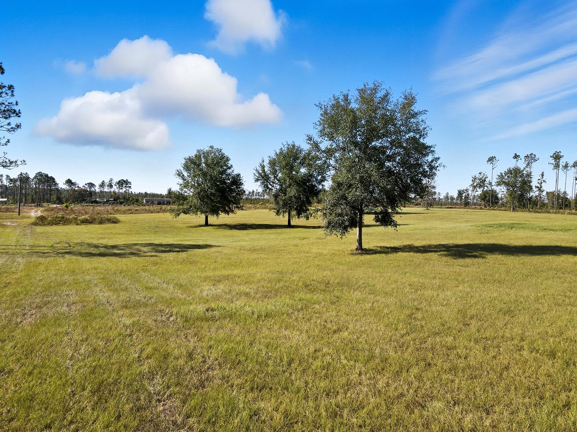 641 Southeast Sequoyah Trail Lee, FL 32059 - Photo 31 of 39