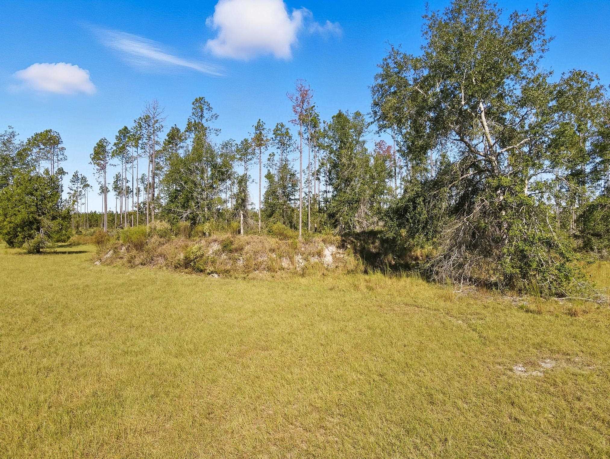 641 Southeast Sequoyah Trail Lee, FL 32059 - Photo 32 of 39